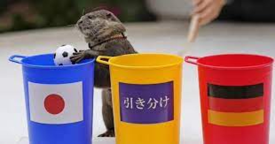 Taiyo, la nutria que predijo el triunfo de Japón ante Alemania