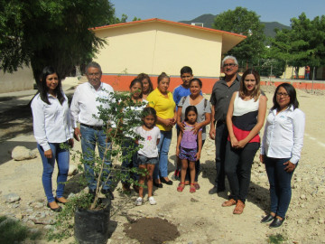 Reforestación en escuelas mitiga cambio climático