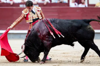 Pérdidas en el sector podrían superar los 77 millones de euros