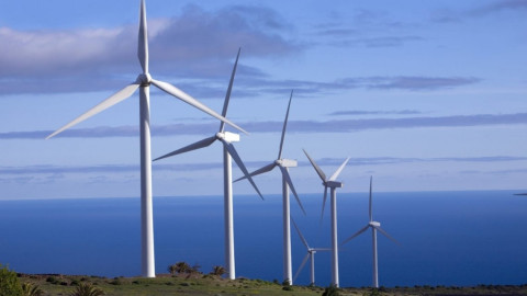 Impunidad y falta de respeto a la ley el cambio de reglas al sector energético: Ivette Bermea