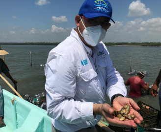 Exhorta Secretaría de Pesca al consumo de productos del mar tamaulipecos