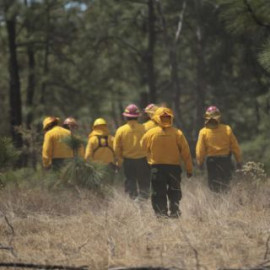 En Jalisco combatientes trabajan para extinguir cinco incendios