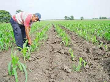 Productores piden que recursos federales lleguen a tiempo