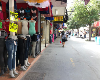 Frena idioma contratación de haitianos