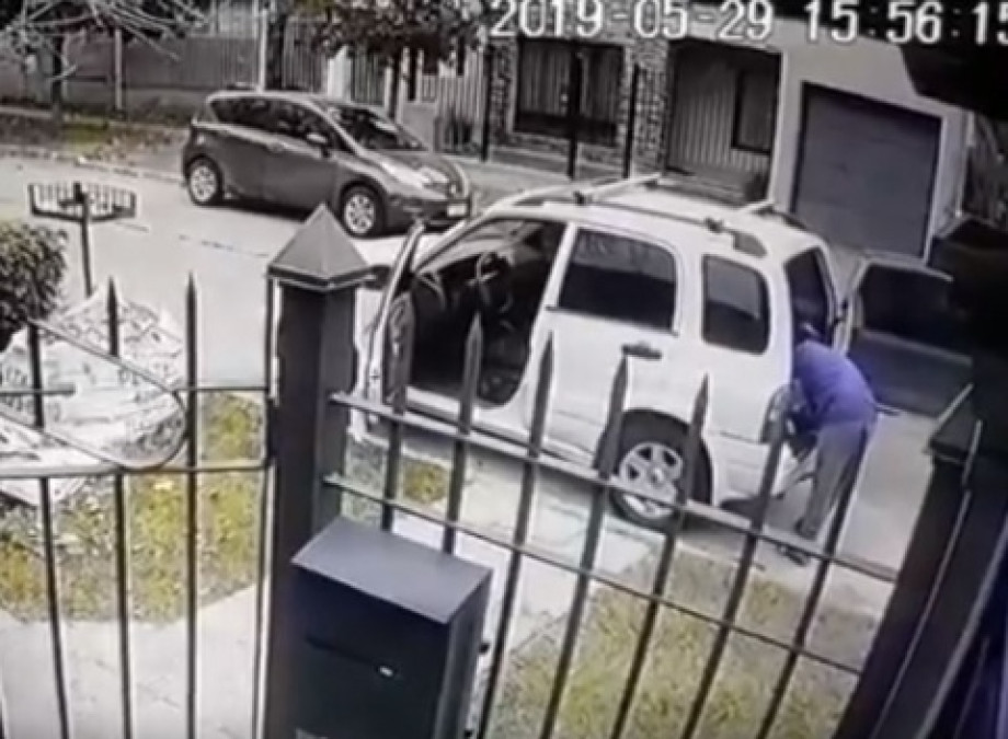 Dos perritos salvan a su dueño de ser asaltado