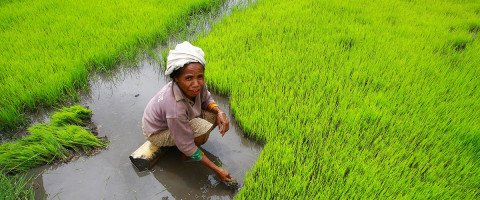 Hoy se celebra el “Día de la Tierra”