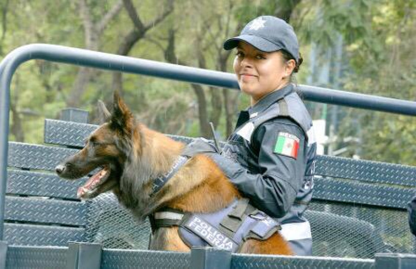 Incertidumbre con el destino de la Unidad Canina de la Policía Federal