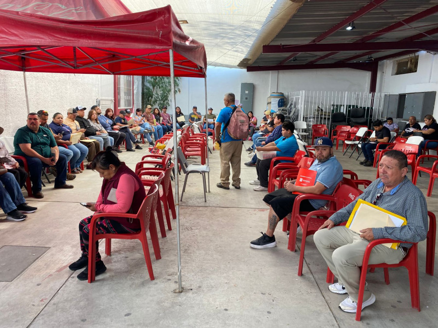 Tienen placas y licencia nuevos precios