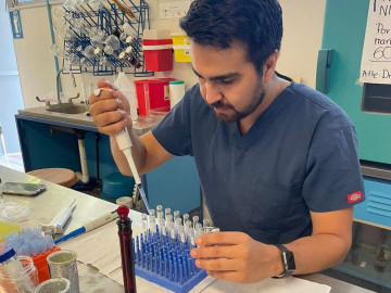 Desarrolla UAT bioinsecticida para combatir plagas que afectan la apicultura