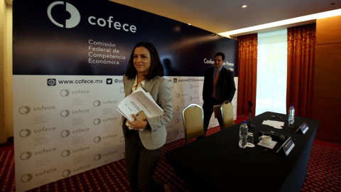 Cofece presenta controversia contra la Ley Federal de Remuneraciones