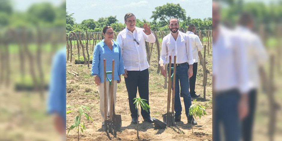 Sembrando Vida ha reclutado 4 mil 300 migrantes