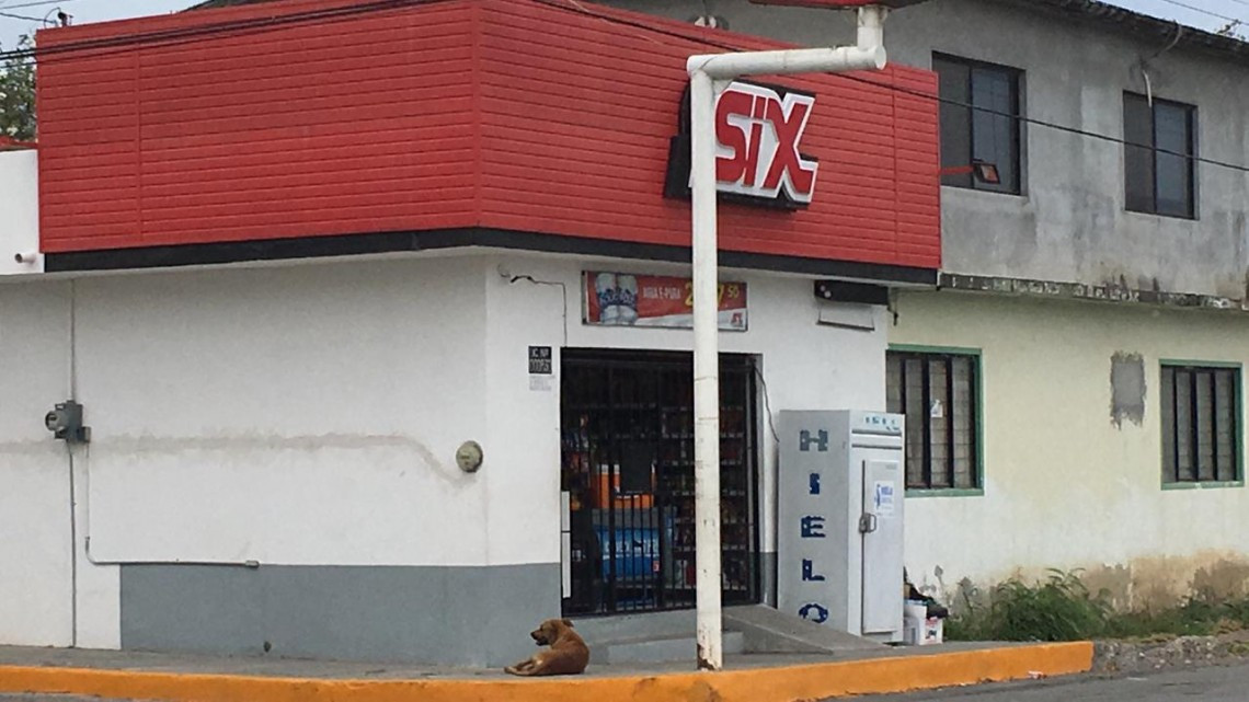 Perfilan cerveceras frenar producción por contingencia