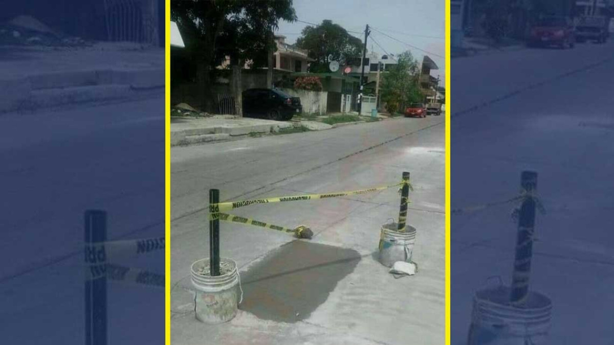 Autoridades tapan bache donde vecinos sembraron árbol