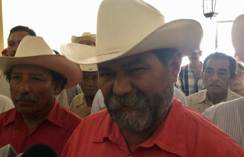 Citricultores requieren de fertilizante