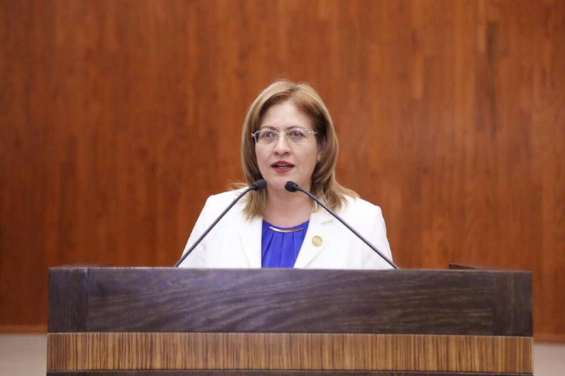 Diputada reconoce labor de Fuerzas de Seguridad para recuperar la tranquilidad.