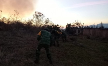 Extinguen incendio forestal en el Bosque La Primavera