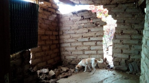 13 muertos por lluvias en Oaxaca