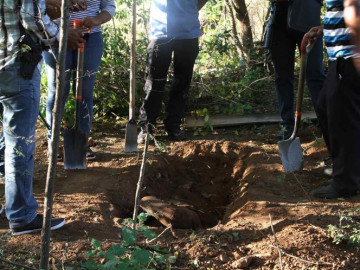 222 fosas en 6 meses y 337 cuerpos