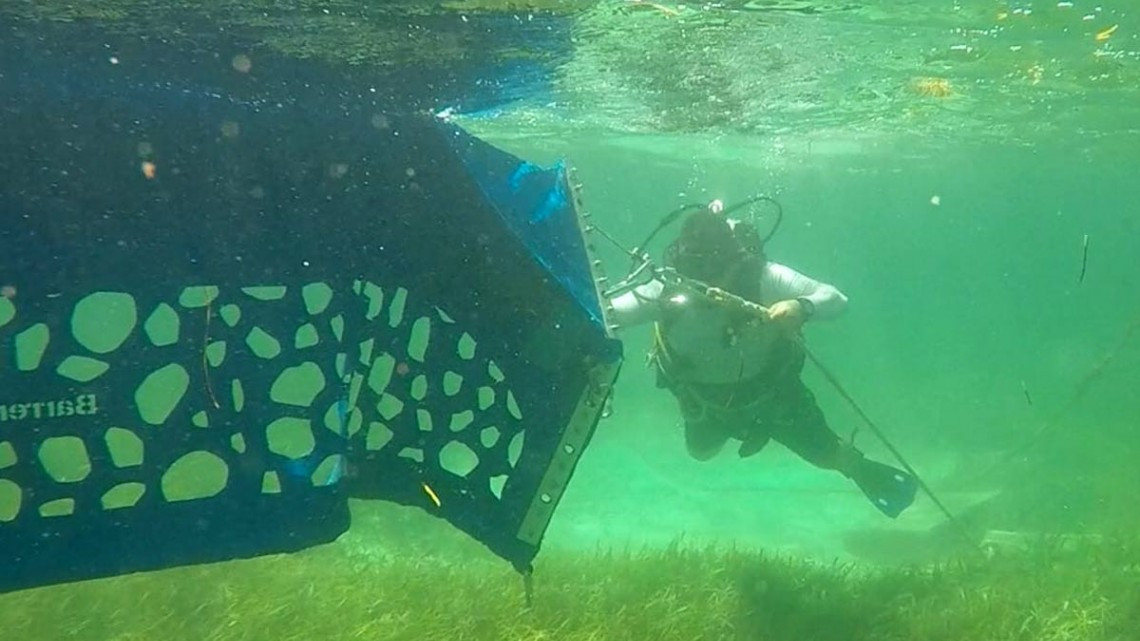 Inician trabajos de combate contra sargazo