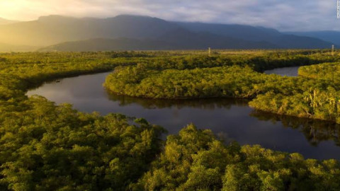 Deforestación del Amazonas llega a 67%