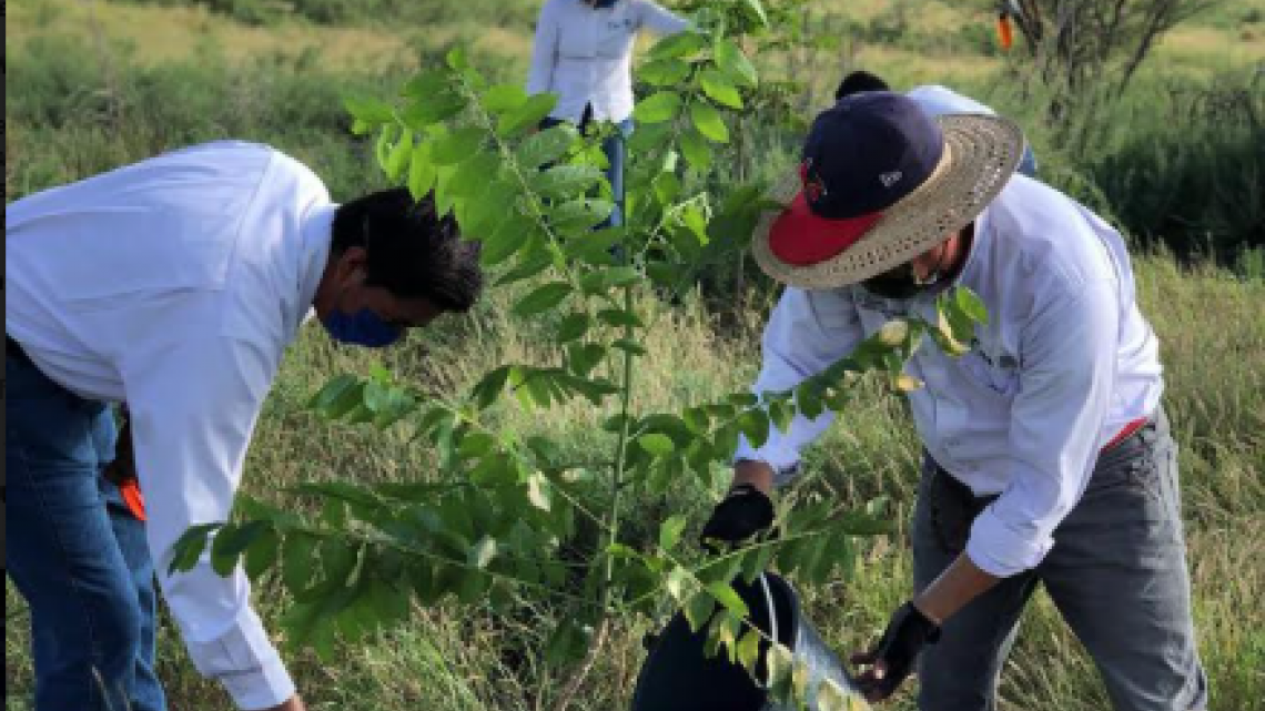 Gobierno de Tamaulipas concientiza sobre conservación del medio ambiente