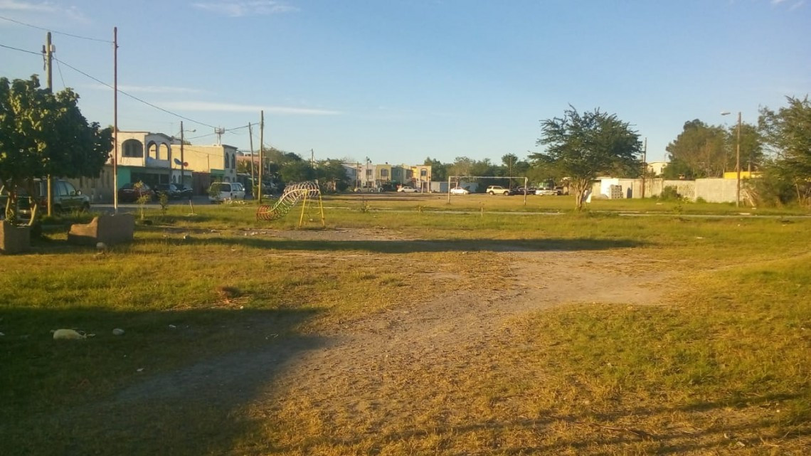 En el 2019 se dio mantenimiento a más de mil áreas verdes