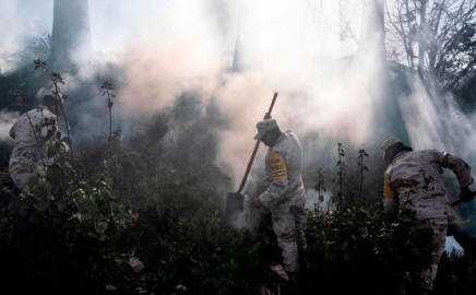 Devastadores incendios arrasan con más de 230 casas en Baja California