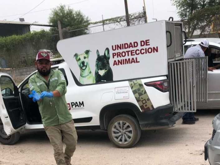 Bienestar Animal Reynosa rescata perro husky