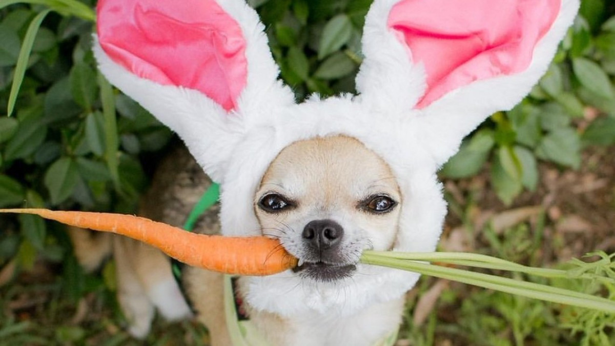 Las diferentes formas para conmemorar la pascua