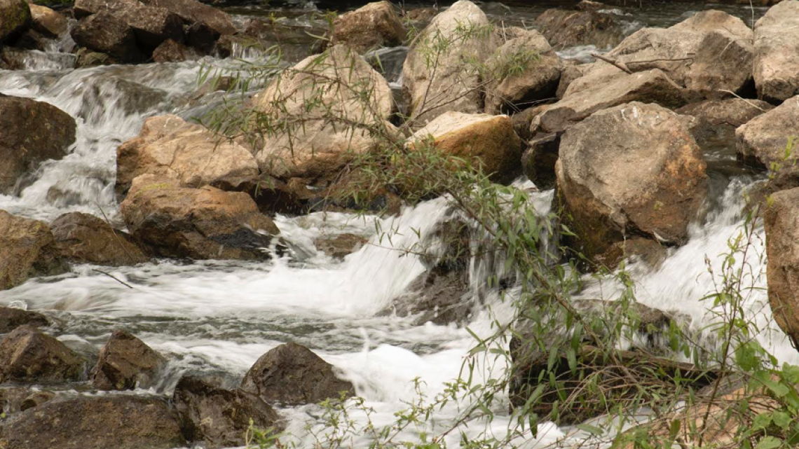 Gobierno de Tamaulipas concientiza sobre conservación del medio ambiente