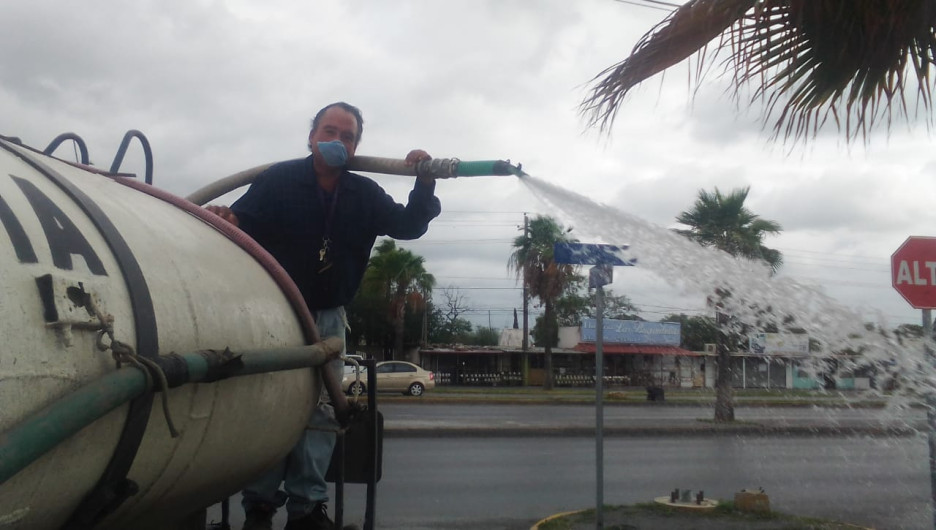 Embellece Municipio camellones y áreas verdes