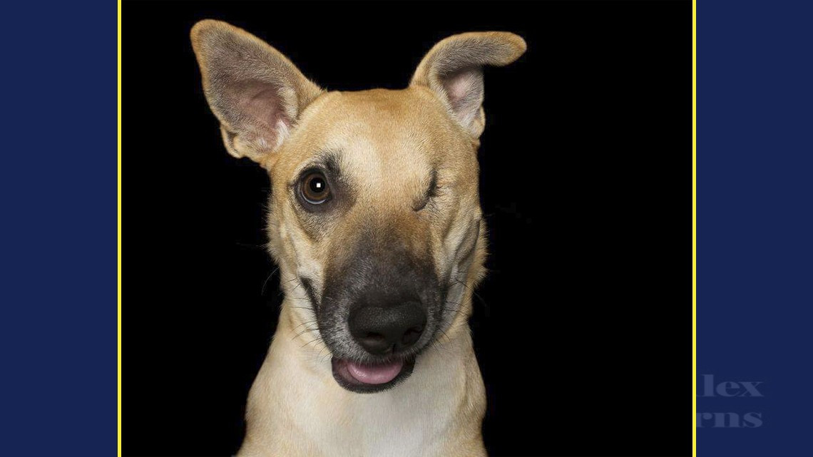 La perfección de los imperfectos