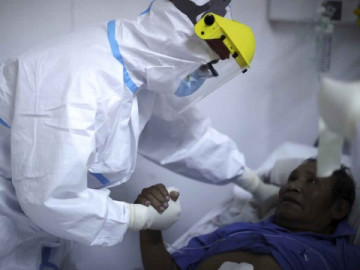 Argentina anuncia inicio de ensayos clínicos de suero equino