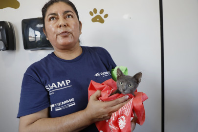 Impulsan cuidado animal 