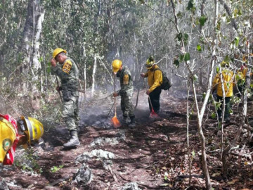 Incendio en Uaimil es controlado en un 60%