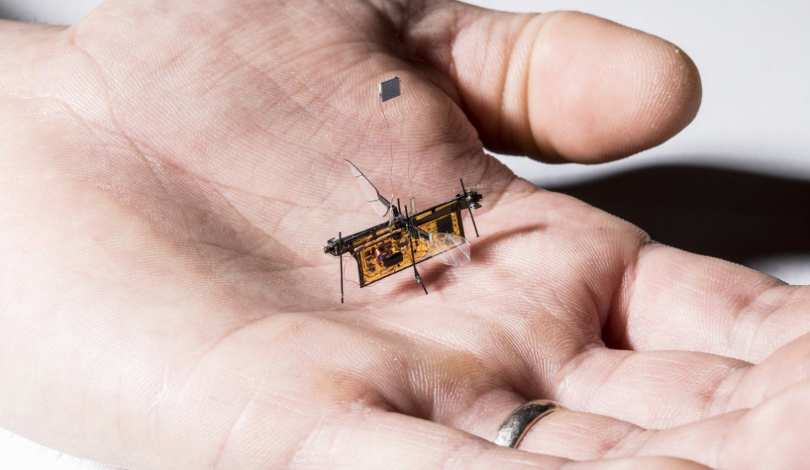 Llega #RoboFly, el primer insecto robótico volador inalámbrico