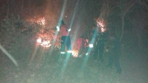 Incendio forestal se propaga por Acapulco