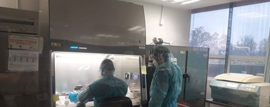 COVID-19 en Tamaulipas, diagnostica SST 203 nuevos casos