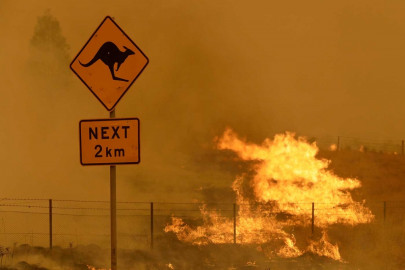 Incendios afectan la capital de Australia