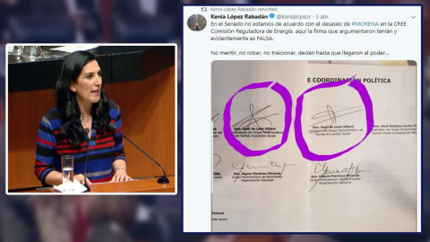 Senadora panista acusa falsificación de firmas en el Senado
