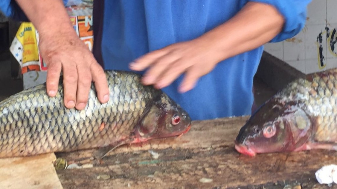 COEPRIS verifica buen manejo de alimentos