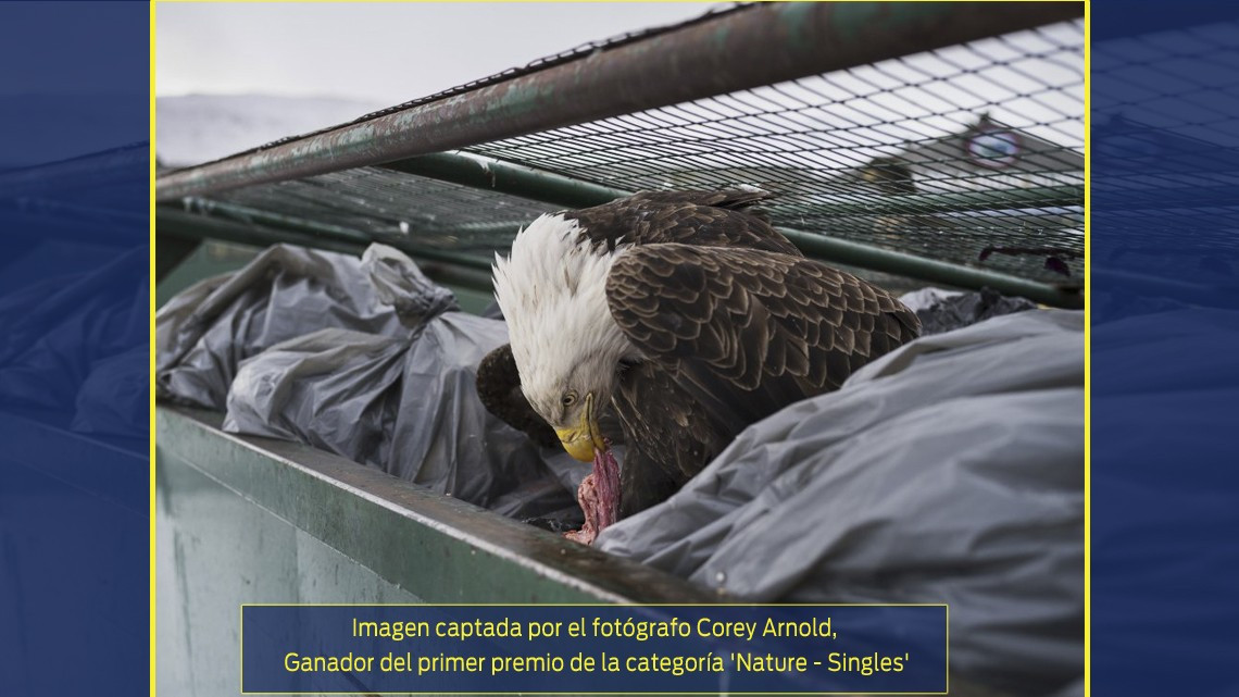 Esta es la imagen ganadora del World Press Photo 2018