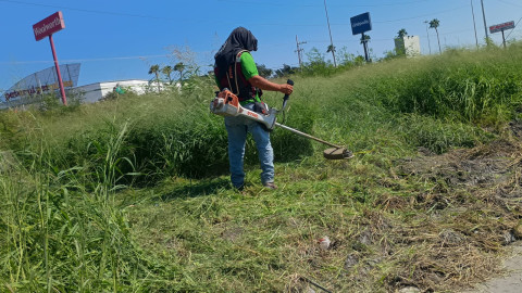 Efectúa Gobierno Municipal de Reynosa actividades de limpieza y mantenimiento
