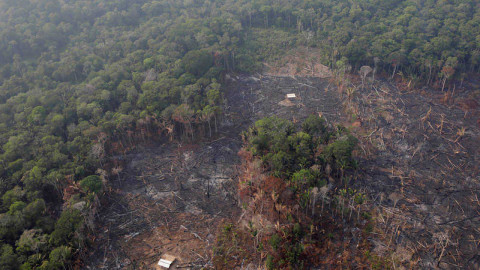 México ofrece apoyo por incendios en Amazonas