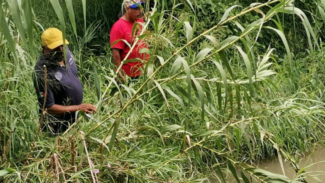 Reportan avistamiento de cocodrilos en el Río San Marcos 