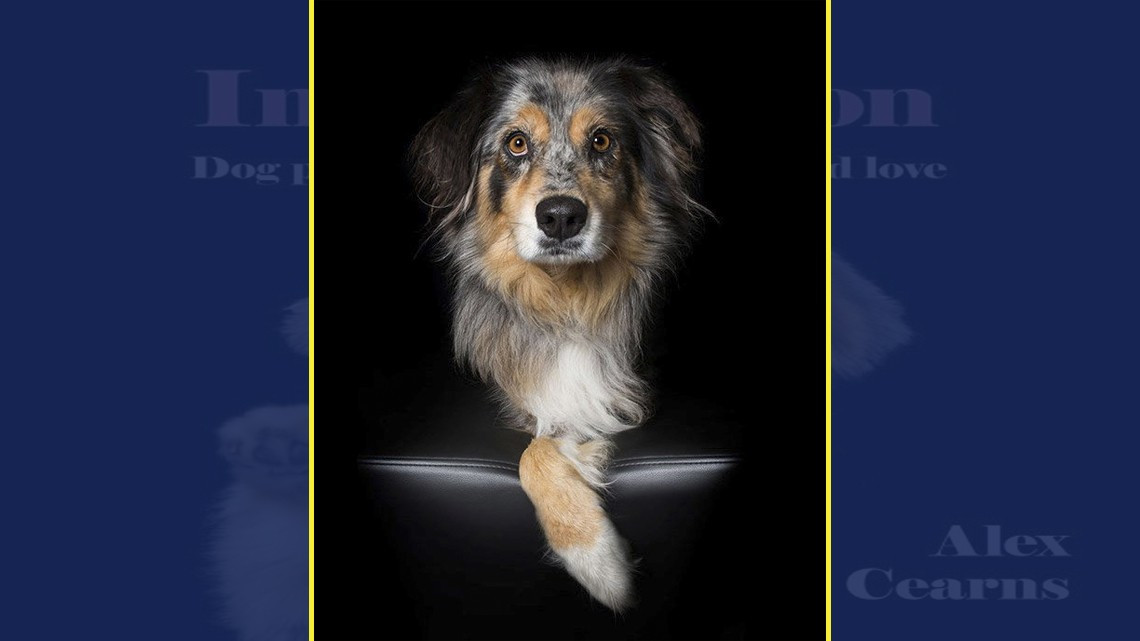 La perfección de los imperfectos