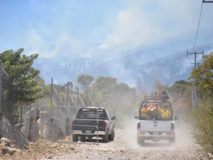 Controlado incendio en el Cerro Viejo, en Tlajomulco