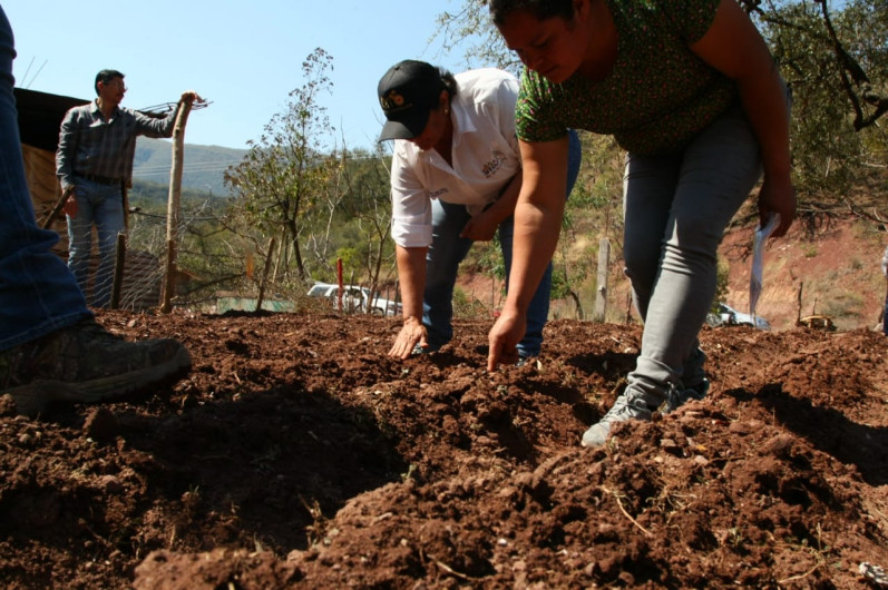 Promueve Ayuntamiento huertos familiares en ejidos de Victoria. 