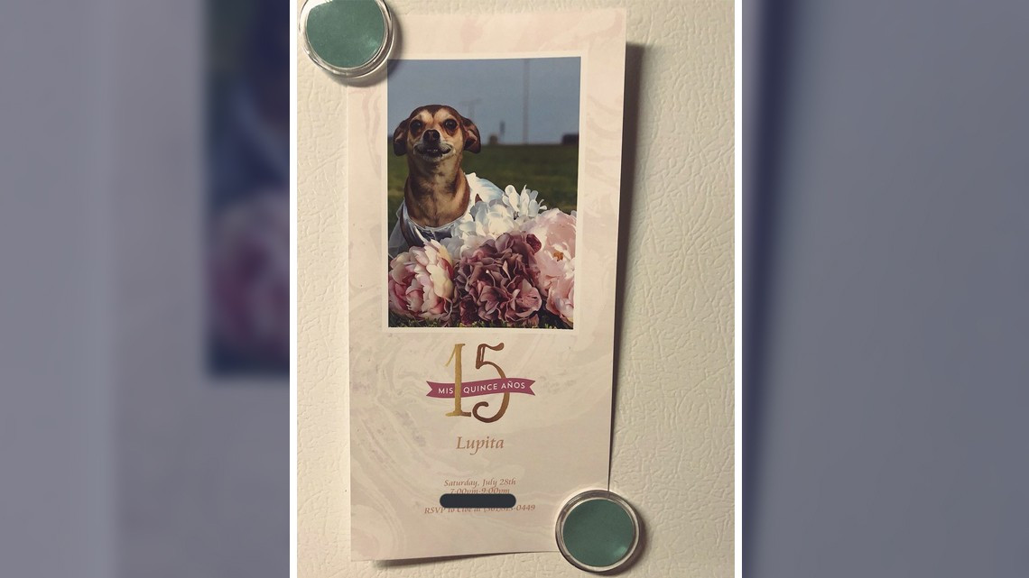 ¡Felicidades a Lupita!, su dueña le organiza tremenda fiesta