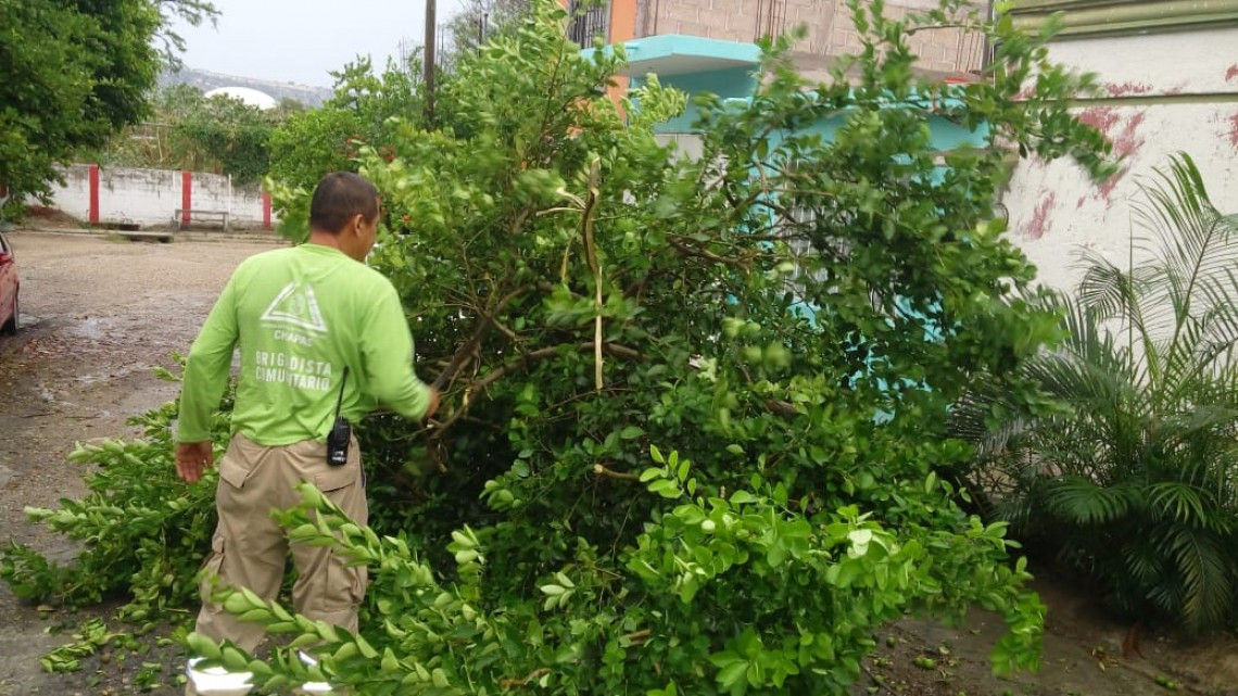 Fuertes lluvias provocan inundaciones en Tuxtla